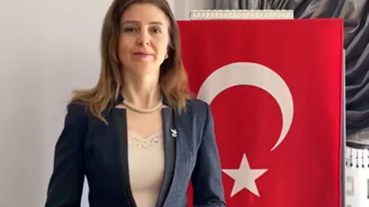 DSP’li Tambova: ‘Erken Seçim Kaçınılmazdır’