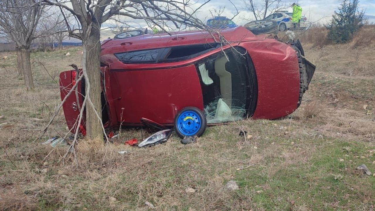 Kontrolden çıkan otomobil tarım arazisine devrildi