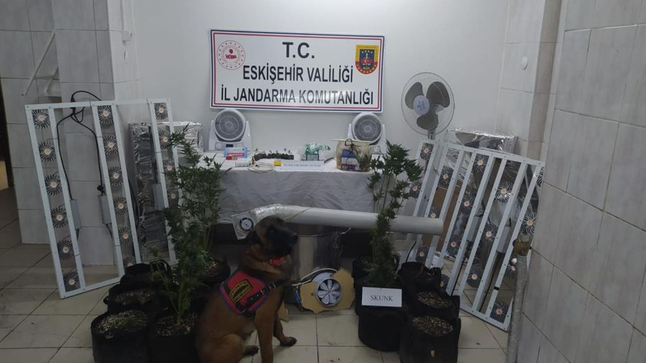 Jandarmanda Seyitgazi'de uyuşturucu operasyonu