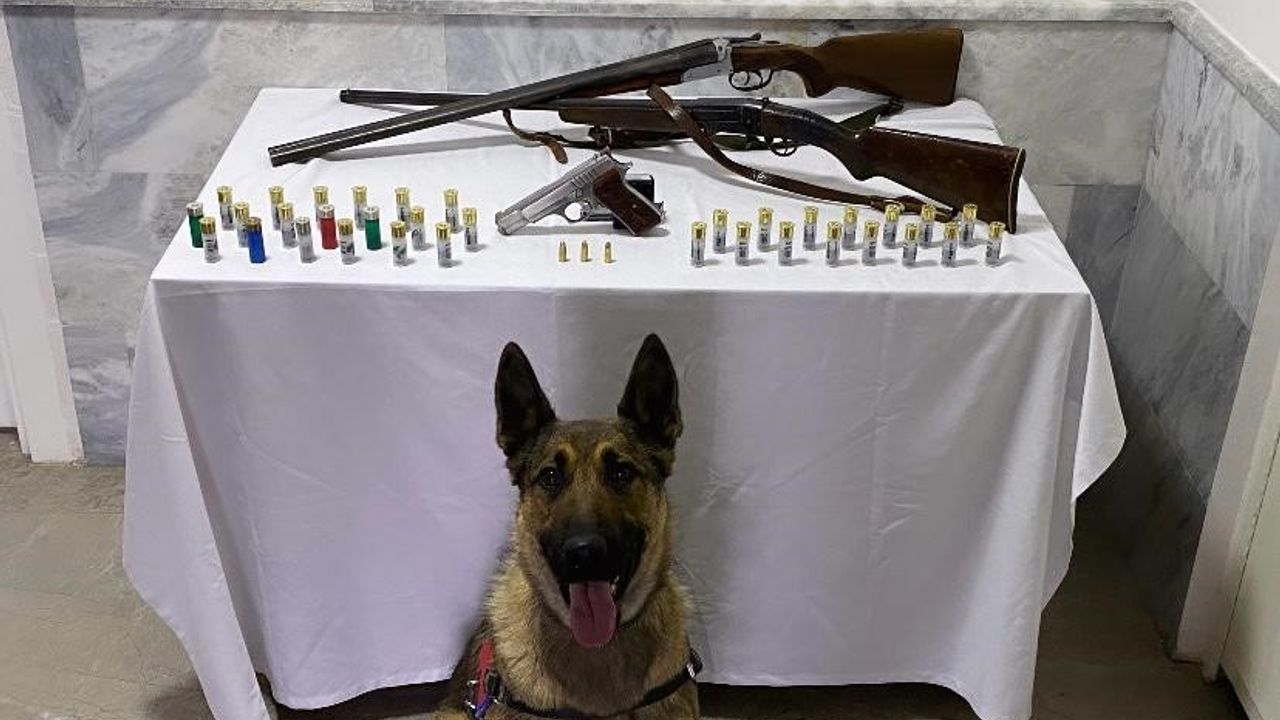 Jandarma yaptığı baskında 3 ruhsatsız silah ele geçirdi