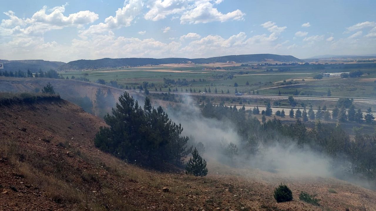 Ağaçlandırma Sahasındaki Yangın Büyümeden Söndürüldü