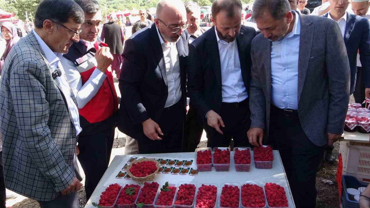 Kütahya’da ’Ahududu Şenliği’ renkli görüntüler oluşturdu