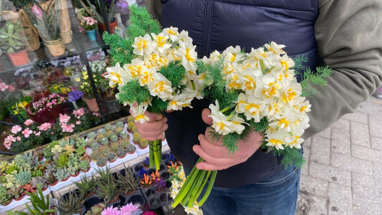 Yıl boyunca onun çıkmasını bekliyorlar