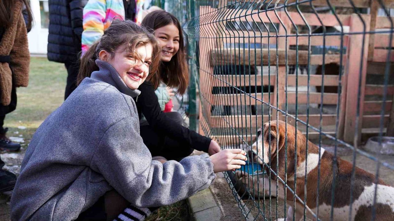 Öğrencilerden can dostlara anlamlı bağış