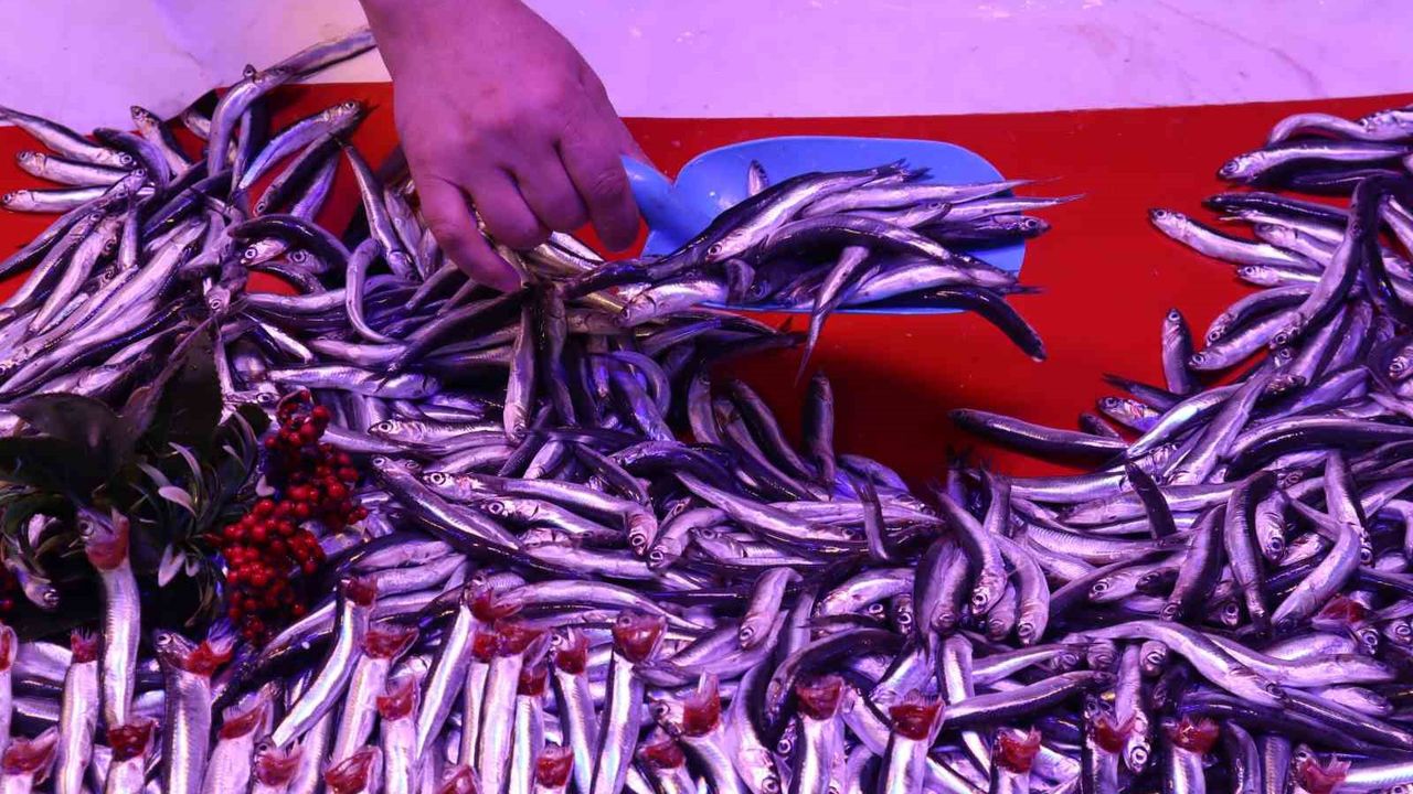 Ramazan ayıyla birlikte balık satışları olumsuz etkilendi