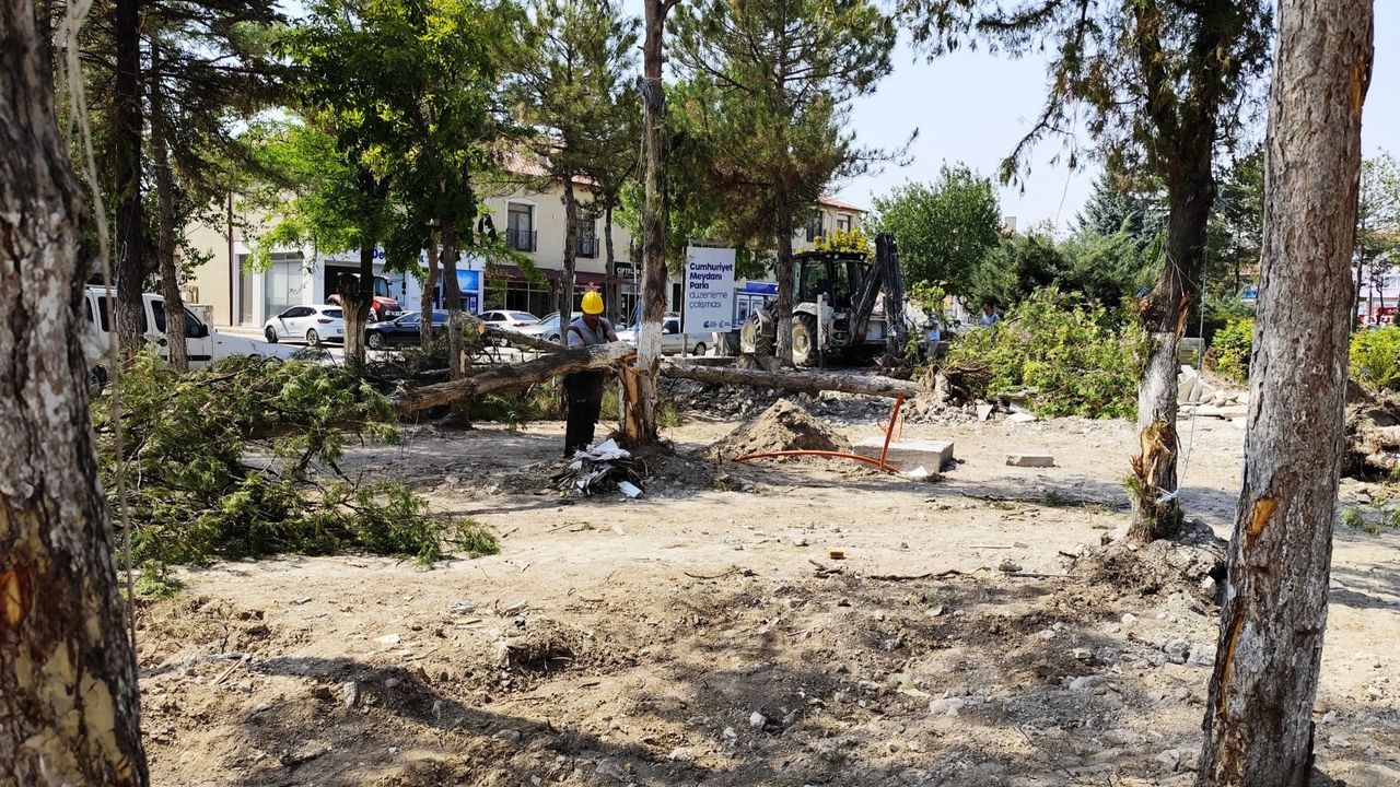 Gürhan Albayrak’tan CHP’li belediyelere sert tepki: Güzelim ağaçlardan ne istediniz