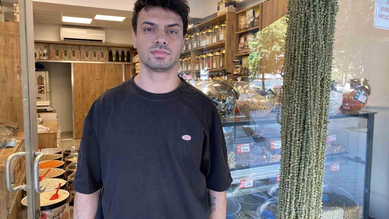 Kurutulmuş çiçek bamyanın altınla yarışan fiyatı düştü