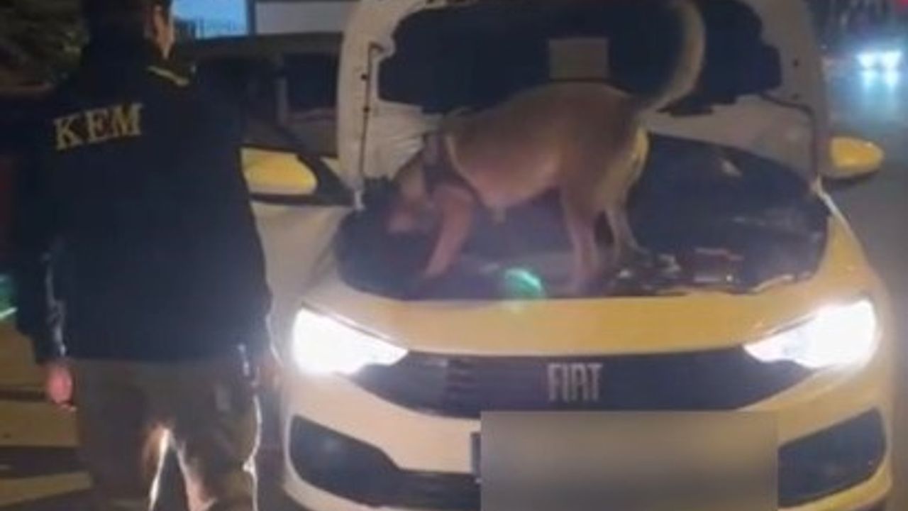 Kütahya’da 3,5 kilo kokain ele geçirildi, şüpheli 2 kişi tutuklandı