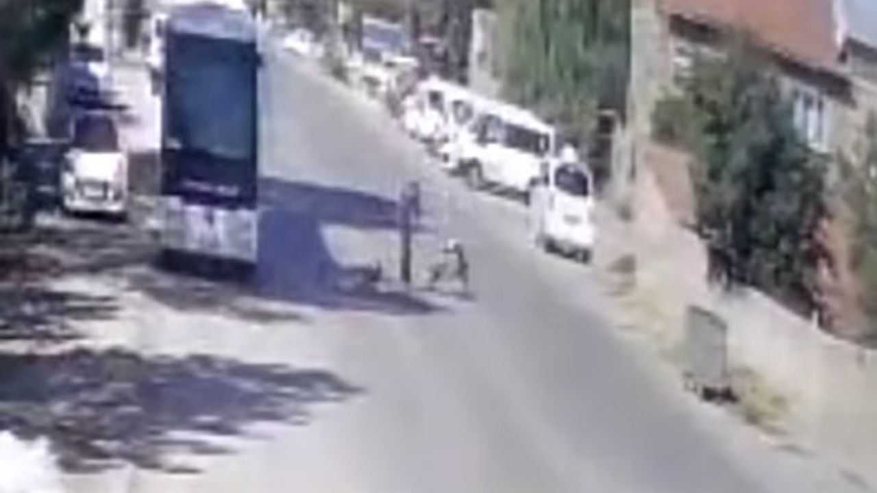 Köpeklerimi sen mi şikayet ettin"diyerek yaşlı adamı tekme tokat dövdü