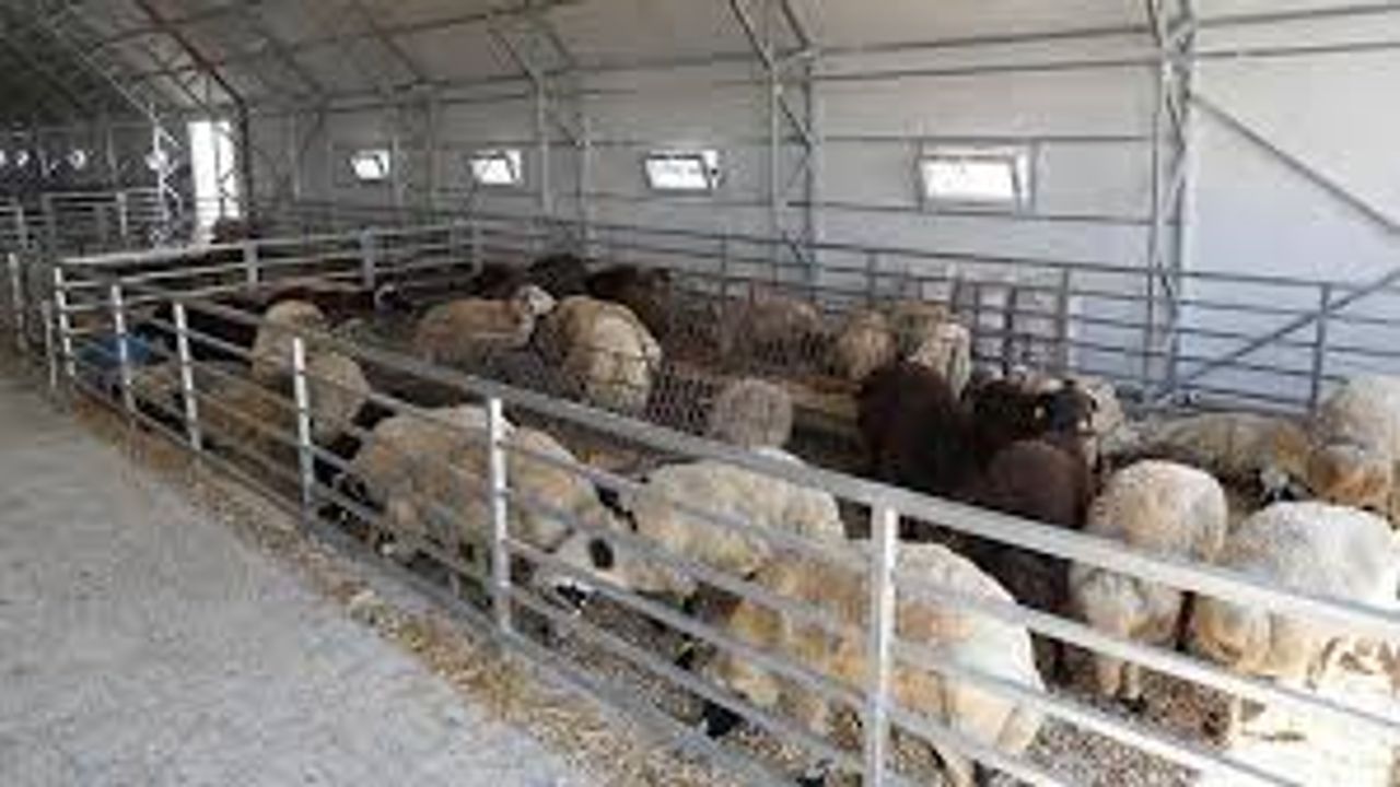 Şap hastalığı sebebiyle Büyükşehir Hayvan Pazarı kapatıldı