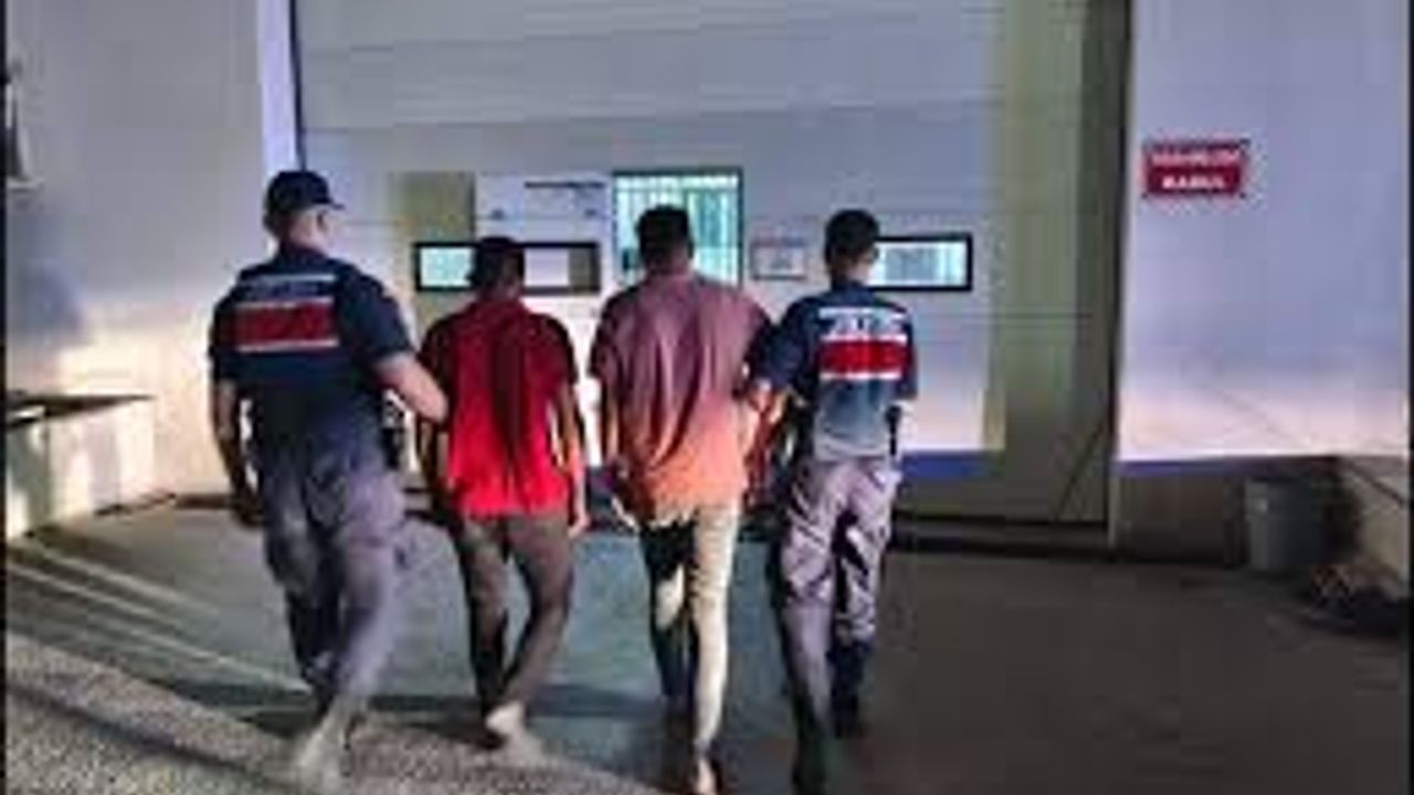 Tarım arazinden 600 bin TL değerinde kablo çalan 2 şahıs tutuklandı