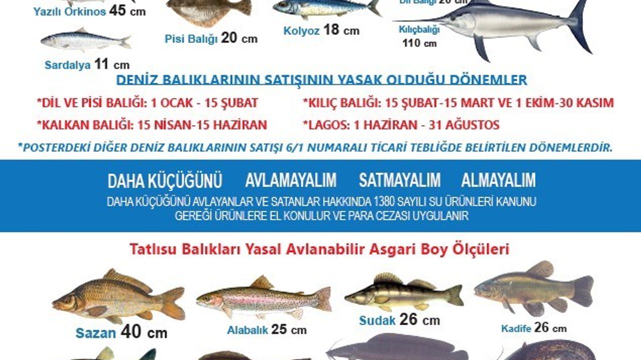 Balıkçılıkta yasal sınırlamalar duyuruldu