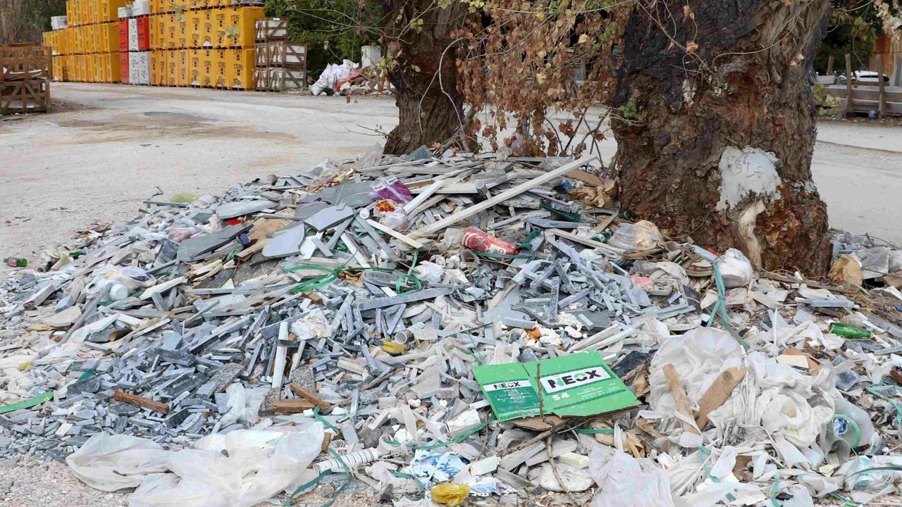 Baksan Sanayi Sitesi'nde ağacın çevresindeki moloz ve sanayi atıklarına tepki