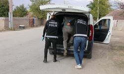 Polisten Alpu’da uygulama: uyuşturucu ve silah ele geçirildi