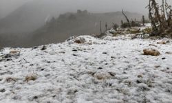 Kar yağışı yüksek kesimlerde etkili oldu