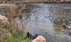 Ege Ekspresi'nin çarptığı yaya hayatını kaybetti