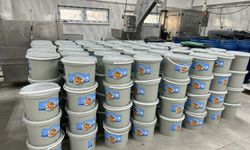 Mihalgazi' de  Yeni mahsul Turşu çeşitleri görücüye çıktı