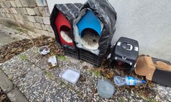 Vatandaşlardan sokak hayvanları için örnek davranış