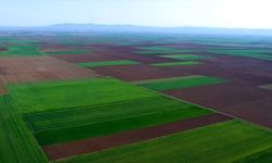 ALPU Ovası İçin Tarihi Bir Karar Daha