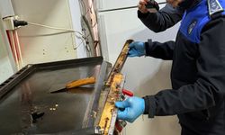 Zabıta denetimlerde gördükleri karşısında şok oldu