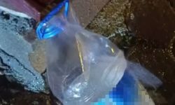 Velilerden ani su kesintisine tepki