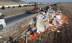 Devrilen tırda 27 ton havuç ziyan oldu