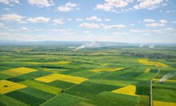 Alpu  OvasıI’nda  Bir  Hukuk  Zaferi  Daha