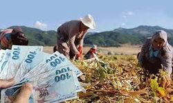 Eskişehir'de 230 milyon 429 bin 640 TL tarımsal destekleme ödemesi