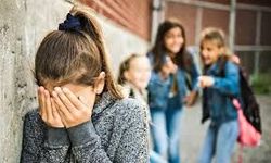 Eskişehir'de akran zorbalığı