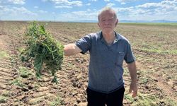3 bin 500 dönümlük tarım arazisinin 2 ayrı kişiye kiralandığı iddiası