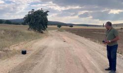 Eskişehir'de kaybolan gebe inek dron ile aranıyor