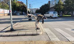 Sokak ortasında uzak doğu dövüş sanatı hareketleri yapan yaşlı adam