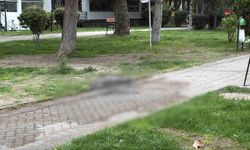 Alkol içerken çıkan tartışma cinayetle bitti