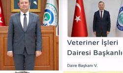 Belediyelerde Liyakat Eğitim ve Uzmanlık Aut