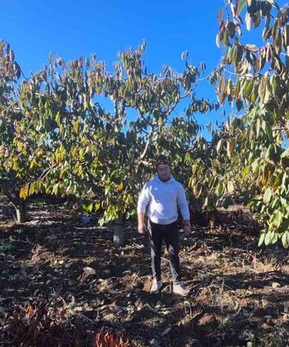 Zirai dondan etkilenen kiraz üreticisinden devlete destek teşekkürü