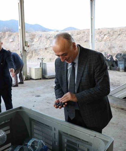 Sarıcakaya zeytinle ön plana çıkıyor