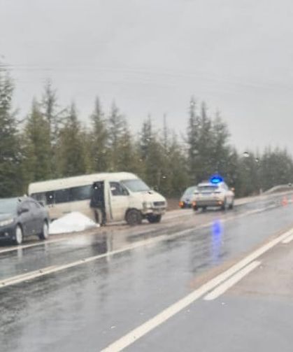 Eskişehir- Afyonkarahisar yolunda kontrolden çıkan minibüs şarampole savruldu