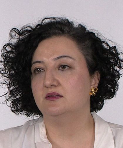 'Okullarda Şiddet ve Akran Zorbalığı'