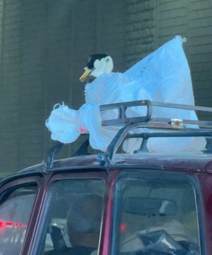 Aracın üzerindeki kazın ilginç yolculuğu kameraya yansıdı