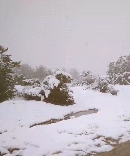 Baharı beklerken kar geldi