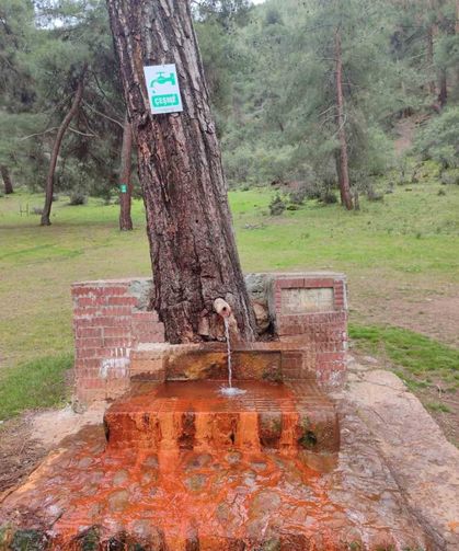 Çeşmeden maden suyu içmek isteyen vatandaşlar Laçin'e geliyor
