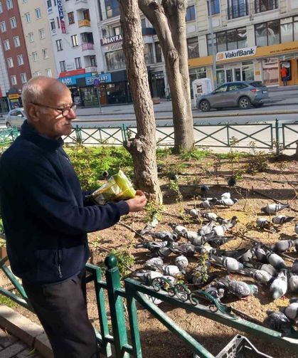 Dükkanının önüne gelen onlarca güvercini doyuruyor