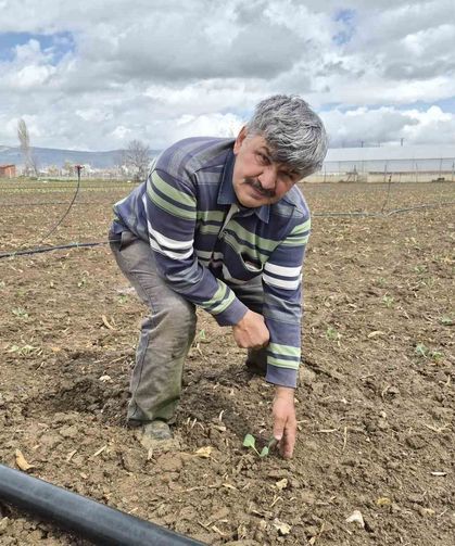 Eskişehir'de yılın ilk tohum ve fideleri toprakla buluştu