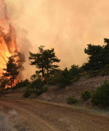 Eskişehir ve Afyonkarahisar'da ormanlara giriş yasaklandı
