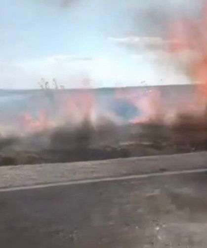 Biçerdöverden sıçrayan kıvılcım tarım arazisini kül etti