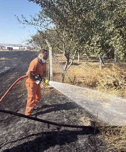 Eskişehir'de anız yangını: Alevler milyar dolarlık fabrikaya 200 metre kala durduruldu