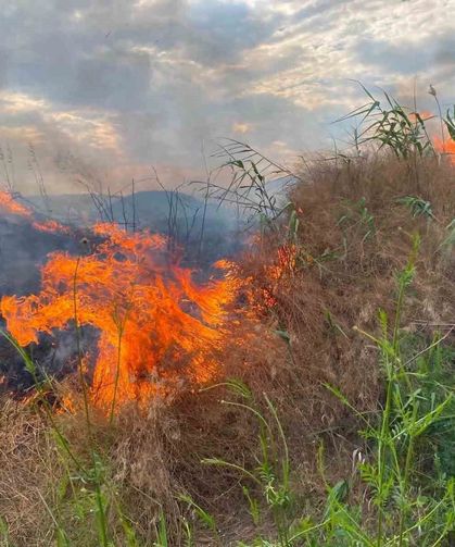 Mihalıççık'ta anız yangını büyümeden söndürüldü