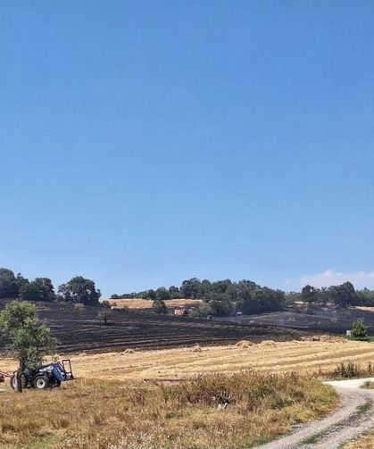 Bozüyük'teki yangında 80 dönüm tarım arazisi zarar gördü