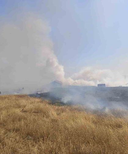 Çıkan arazi yangını büyümeden söndürüldü