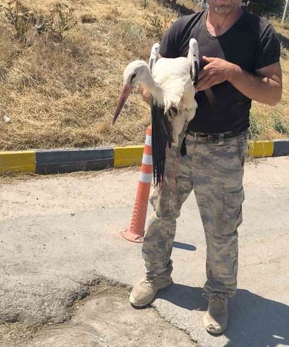 Eskişehir Büyükşehir Belediyesi çöplüğünde bacağı kırık halde bulunan leylek 4 gündür yardım bekliyor